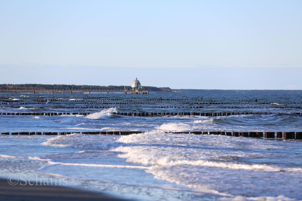 Ostseelagune Zingst, Exklusive Dhh, Strandnah, Sauna, Kamin, 3 Sz, 2 Baeder, Glasfaser, Haustierfrei, Garten Mit Suedterrasse, E-Ladesaeule, 2 Stellplaetze, Strandkorb, Fahrradschuppen, Waschmaschine, Trockner, Nichtraucher 외부 사진