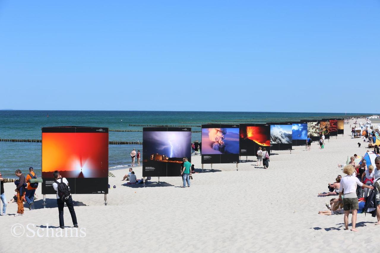 Ostseelagune Zingst, Exklusive Dhh, Strandnah, Sauna, Kamin, 3 Sz, 2 Baeder, Glasfaser, Haustierfrei, Garten Mit Suedterrasse, E-Ladesaeule, 2 Stellplaetze, Strandkorb, Fahrradschuppen, Waschmaschine, Trockner, Nichtraucher 외부 사진