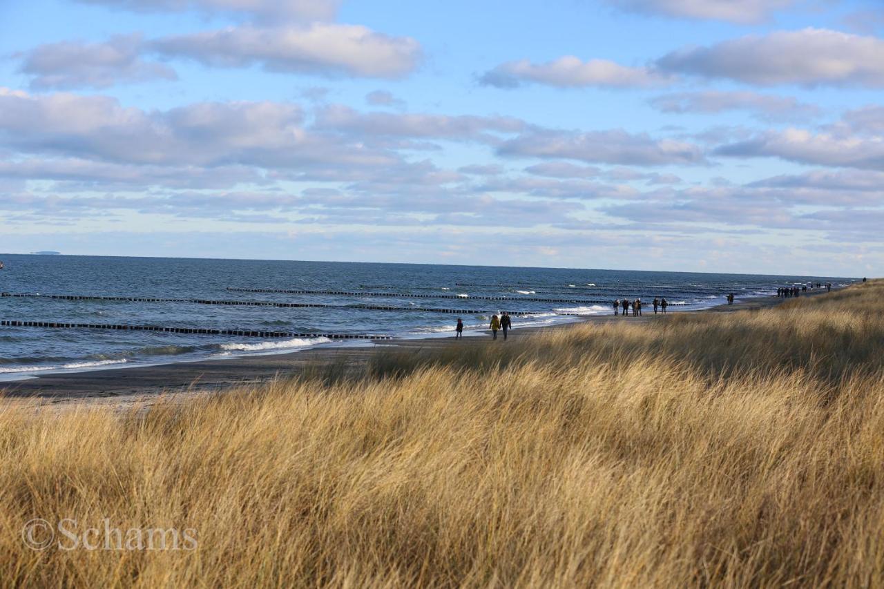 Ostseelagune Zingst, Exklusive Dhh, Strandnah, Sauna, Kamin, 3 Sz, 2 Baeder, Glasfaser, Haustierfrei, Garten Mit Suedterrasse, E-Ladesaeule, 2 Stellplaetze, Strandkorb, Fahrradschuppen, Waschmaschine, Trockner, Nichtraucher 외부 사진
