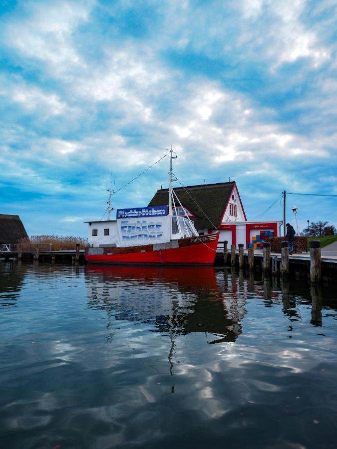 Ostseelagune Zingst, Exklusive Dhh, Strandnah, Sauna, Kamin, 3 Sz, 2 Baeder, Glasfaser, Haustierfrei, Garten Mit Suedterrasse, E-Ladesaeule, 2 Stellplaetze, Strandkorb, Fahrradschuppen, Waschmaschine, Trockner, Nichtraucher 외부 사진