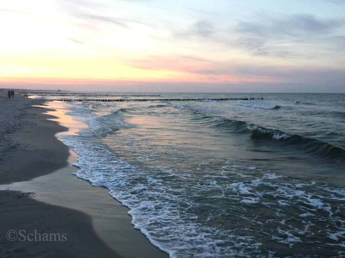 Ostseelagune Zingst, Exklusive Dhh, Strandnah, Sauna, Kamin, 3 Sz, 2 Baeder, Glasfaser, Haustierfrei, Garten Mit Suedterrasse, E-Ladesaeule, 2 Stellplaetze, Strandkorb, Fahrradschuppen, Waschmaschine, Trockner, Nichtraucher 외부 사진